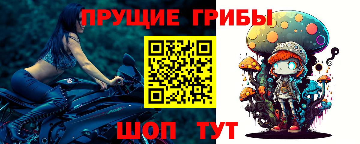Псилоцибиновые грибы ЛСД Солнечногорск