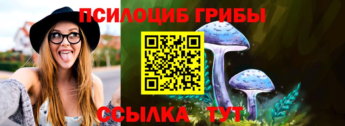 Псилоцибиновые грибы мухоморы  Псилоцибиновые грибы Cubensis  Солнечногорск  Вход с VPN 